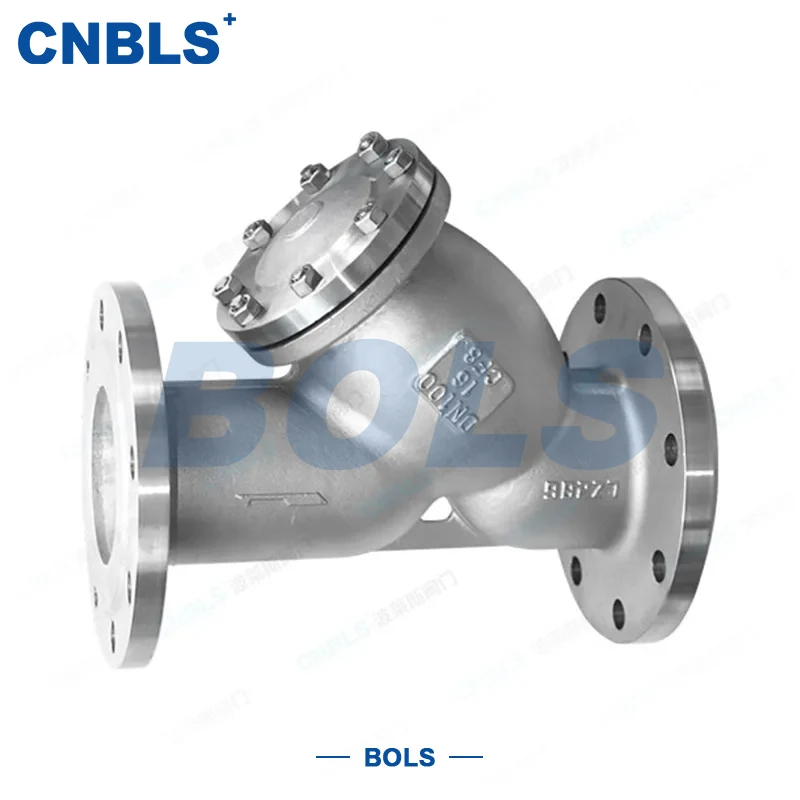 Roestvrijstalen flens Y-type filter