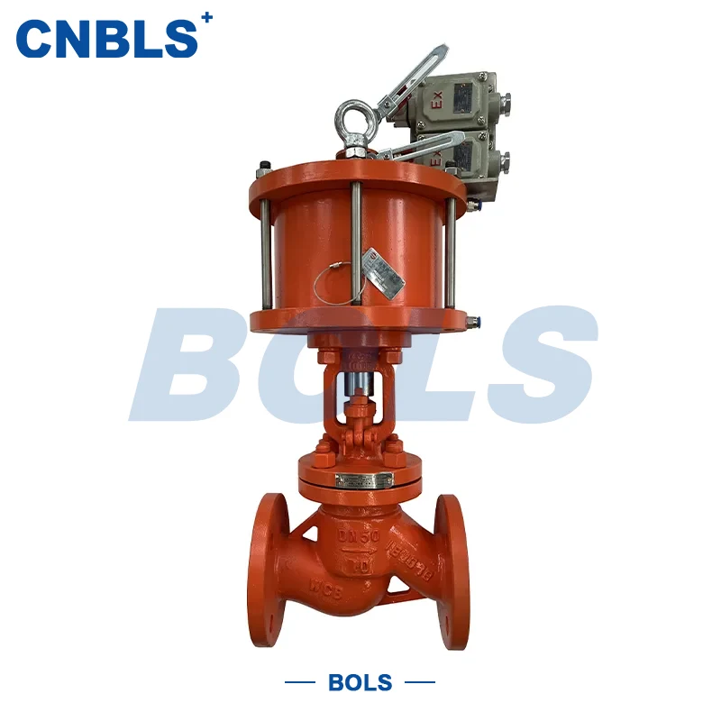 Roestvrijstalen plunjerafsluiters